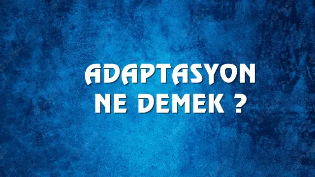 Adaptasyon Ne Demek, Ne Anlama Gelir? Adaptasyon Kelimesi TDK Sözlük Anlamı Nedir?