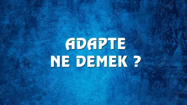 Adapte Ne Demek, Ne Anlama Gelir? Adapte Kelimesi TDK Sözlük Anlamı Nedir?