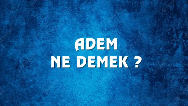 Adem Ne Demek, Ne Anlama Gelir? Adem Kelimesi TDK Sözlük Anlamı Nedir?