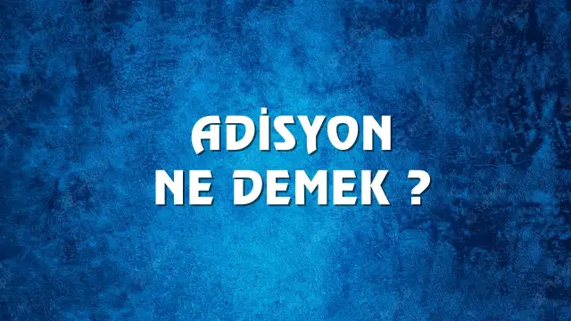 Adisyon Ne Demek, Ne Anlama Gelir? Adisyon Kelimesi TDK Sözlük Anlamı Nedir? Adisyon kelimesinin kökeni nedir?