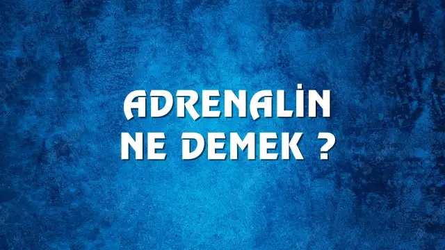 Adrenalin ne demek ve kökeni nedir? Adrenalin Ne Demek, Ne Anlama Gelir? Adrenalin Kelimesi TDK Sözlük Anlamı Nedir?