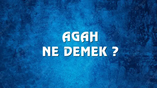 Agah Ne Demek, Ne Anlama Gelir? Agah Kelimesi TDK Sözlük Anlamı Nedir?