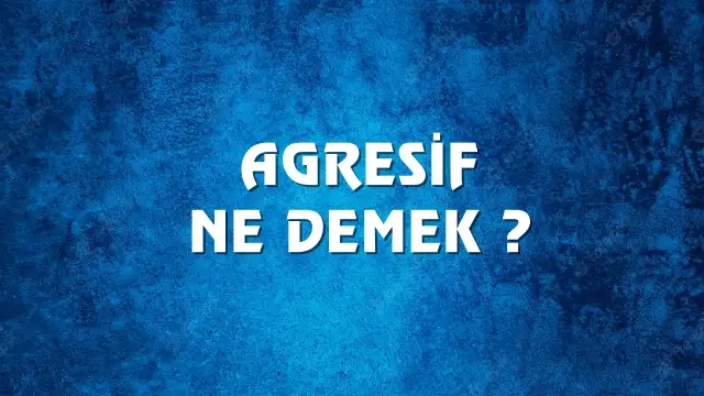 Agresif kelimesinin anlamı ve kökeni? Agresif Ne Demek, Ne Anlama Gelir? Agresif Kelimesi TDK Sözlük Anlamı Nedir?