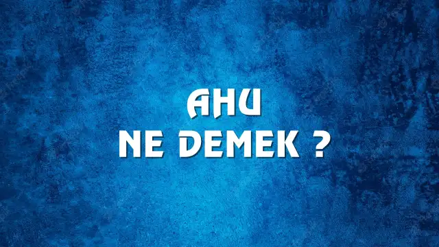 Ahu kelimesinin kökeni nedir ? Ahu Ne Demek, Ne Anlama Gelir? Ahu Kelimesi TDK Sözlük Anlamı Nedir?