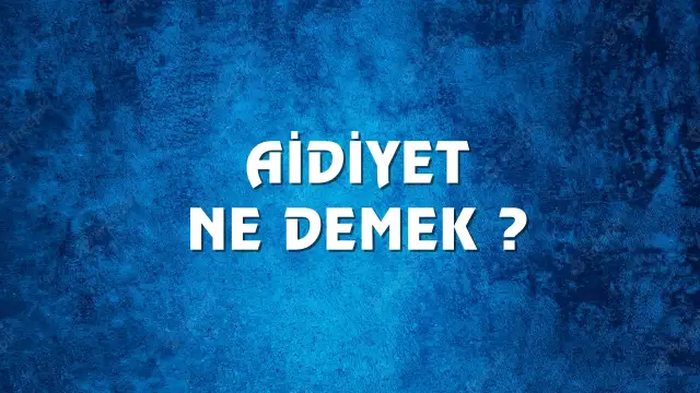 Aidiyet Ne Demek, Ne Anlama Gelir? Aidiyet Kelimesi TDK Sözlük Anlamı Nedir?