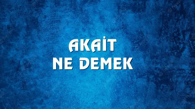 Akait kelimesinin anlamı ve kökeni? Akait Ne Demek, Ne Anlama Gelir? Akait Kelimesi TDK Sözlük Anlamı Nedir?