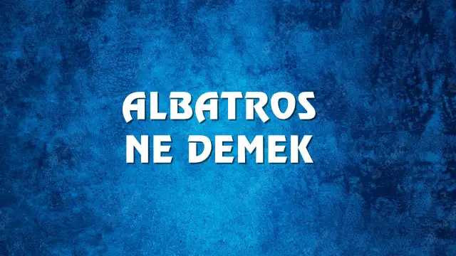 Albatros Ne Demek, Ne Anlama Gelir? Albatros Kelimesi TDK Sözlük Anlamı Nedir?