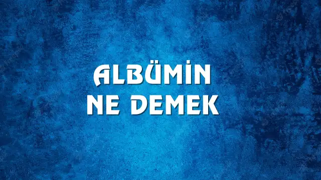 Albümin kelimesinin kökeni nedir? Albümin Ne Demek, Ne Anlama Gelir? Albümin Kelimesi TDK Sözlük Anlamı Nedir?