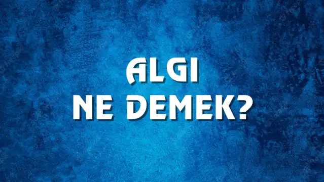 Algı Ne Demek, Ne Anlama Gelir? Algı Kelimesi TDK Sözlük Anlamı Nedir?