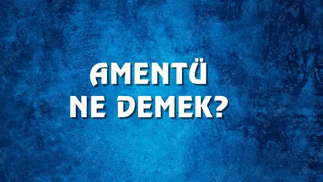 Amentü Ne Demek, Ne Anlama Gelir? Amentü Kelimesi TDK Sözlük Anlamı Nedir?