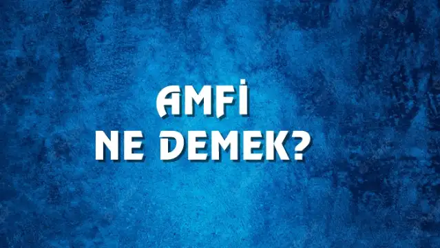 Amfi Ne Demek, Ne Anlama Gelir? Amfi Kelimesi TDK Sözlük Anlamı Nedir?