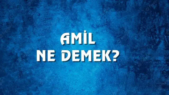 Amil Ne Demek, Ne Anlama Gelir? Amil Kelimesi TDK Sözlük Anlamı Nedir?