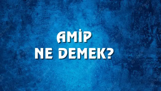Amip kelimesinin kökeni nedir ? Amip Ne Demek, Ne Anlama Gelir? Amip Kelimesi TDK Sözlük Anlamı Nedir?