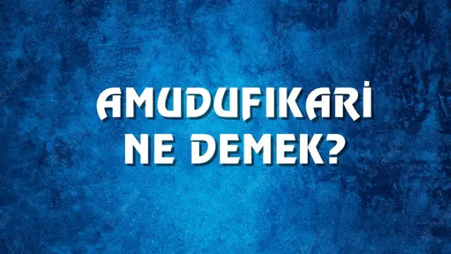 Amudufıkari Ne Demek, Ne Anlama Gelir? Amudufıkari Kelimesi TDK Sözlük Anlamı Nedir?