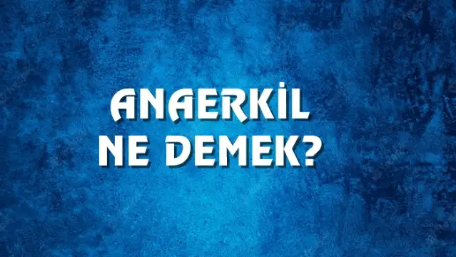 Anaerkil Ne Demek, Ne Anlama Gelir? Anaerkil Kelimesi TDK Sözlük Anlamı Nedir?