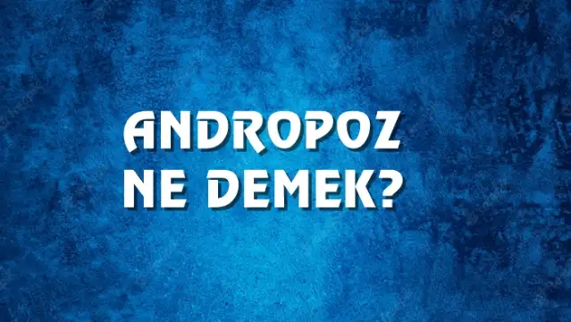 Andropoz Ne Demek, Ne Anlama Gelir? Andropoz Kelimesi TDK Sözlük Anlamı Nedir?