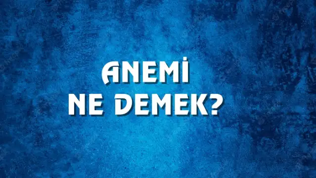 Anemi Ne Demek, Ne Anlama Gelir? Anemi Kelimesi TDK Sözlük Anlamı Nedir?