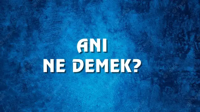 Anı Ne Demek, Ne Anlama Gelir? Anı Kelimesi TDK Sözlük Anlamı Nedir?