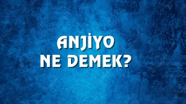 Anjiyo Ne Demek, Ne Anlama Gelir? Anjiyo Kelimesi TDK Sözlük Anlamı Nedir?
