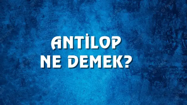 Antilop Ne Demek, Ne Anlama Gelir? Antilop Kelimesi TDK Sözlük Anlamı Nedir?