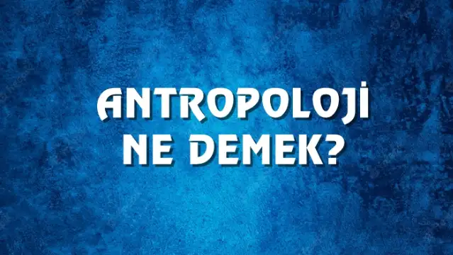 Antropoloji Ne Demek, Ne Anlama Gelir? Antropoloji Kelimesi TDK Sözlük Anlamı Nedir?