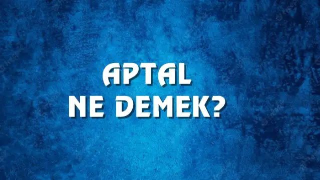 Aptal Ne Demek, Ne Anlama Gelir? Aptal Kelimesi TDK Sözlük Anlamı Nedir?