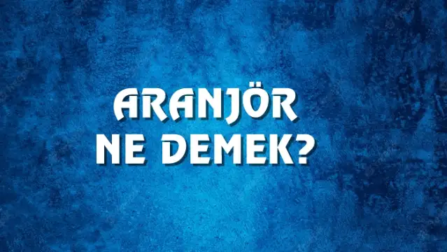 Aranjör Ne Demek, Ne Anlama Gelir? Aranjör Kelimesi TDK Sözlük Anlamı Nedir?