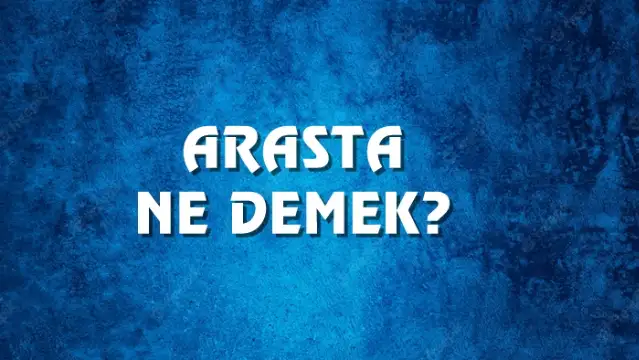 Arasta Ne Demek, Ne Anlama Gelir? Arasta Kelimesi TDK Sözlük Anlamı Nedir?