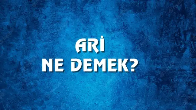 Ari Ne Demek, Ne Anlama Gelir? Ari Kelimesi TDK Sözlük Anlamı Nedir?