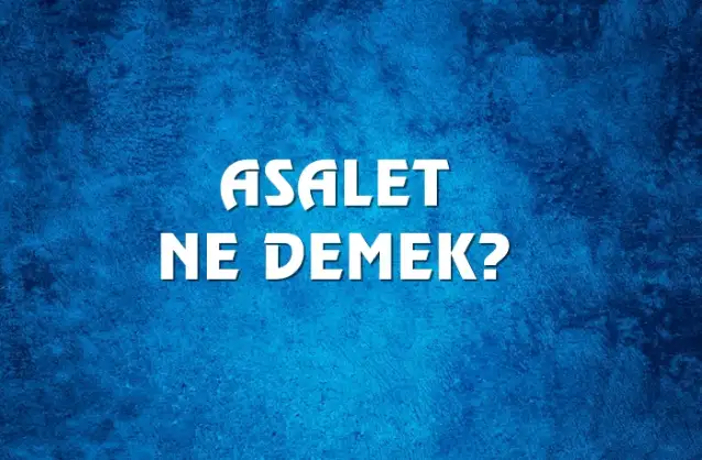 Asalet Ne Demek, Ne Anlama Gelir? Asalet Kelimesi TDK Sözlük Anlamı Nedir?