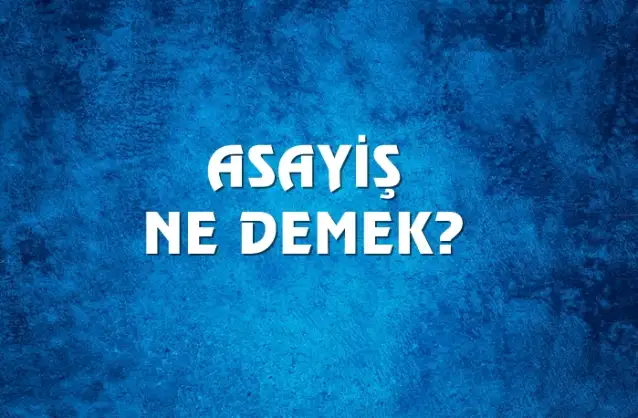 Asayiş Ne Demek, Ne Anlama Gelir? Asayiş Kelimesi TDK Sözlük Anlamı Nedir?