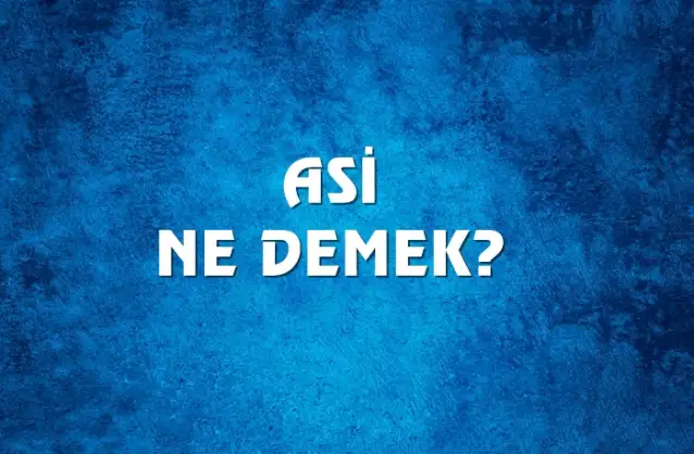 Asi Ne Demek, Ne Anlama Gelir? Asi Kelimesi TDK Sözlük Anlamı Nedir?