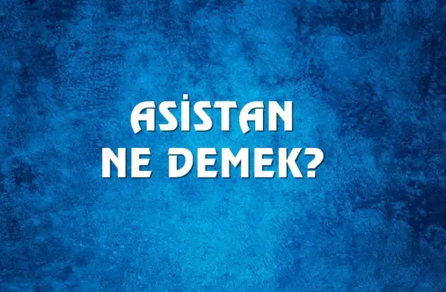 Asistan Ne Demek, Ne Anlama Gelir? Asistan Kelimesi TDK Sözlük Anlamı Nedir?