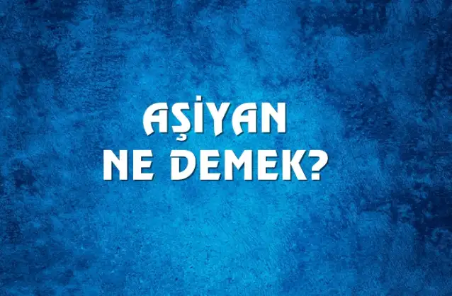 Aşiyan Ne Demek, Ne Anlama Gelir? Aşiyan Kelimesi TDK Sözlük Anlamı Nedir?