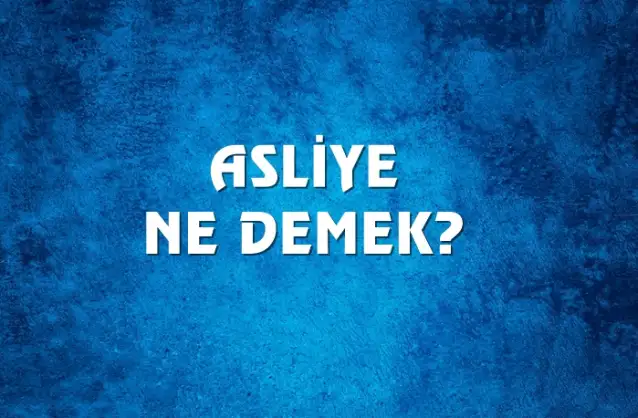 Asliye Ne Demek, Ne Anlama Gelir? Asliye Kelimesi TDK Sözlük Anlamı Nedir?