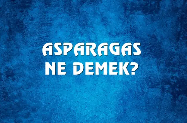 Asparagas Ne Demek, Ne Anlama Gelir? Asparagas Kelimesi TDK Sözlük Anlamı Nedir?