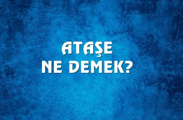 Ataşe Ne Demek, Ne Anlama Gelir? Ataşe Kelimesi TDK Sözlük Anlamı Nedir?