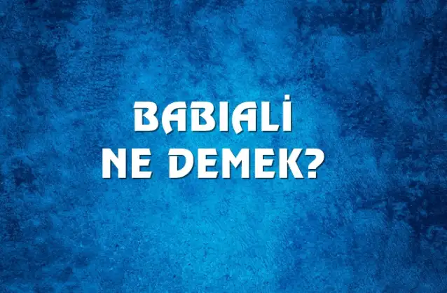 Babıali Ne Demek, Ne Anlama Gelir? Babıali Kelimesi TDK Sözlük Anlamı Nedir?