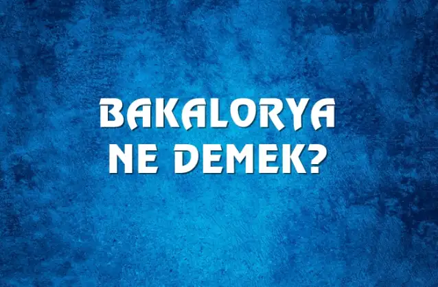 Bakalorya Ne Demek, Ne Anlama Gelir? Bakalorya Kelimesi TDK Sözlük Anlamı Nedir?