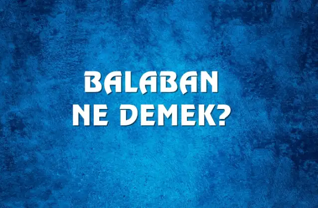 Balaban Ne Demek, Ne Anlama Gelir? Balaban Kelimesi TDK Sözlük Anlamı Nedir?