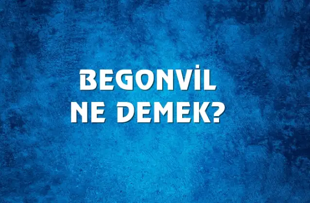 Begonvil Ne Demek, Ne Anlama Gelir? Begonvil Kelimesi TDK Sözlük Anlamı Nedir?