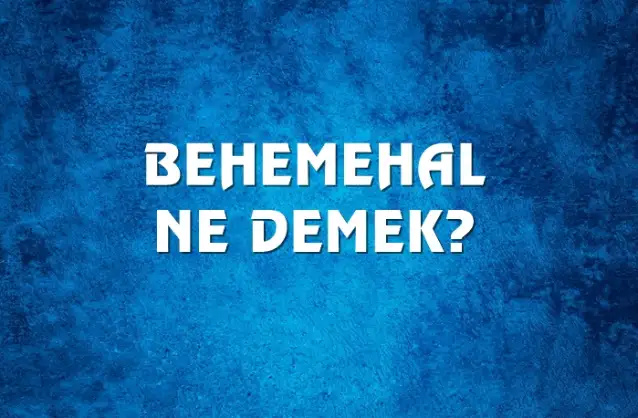 Behemehal Ne Demek, Ne Anlama Gelir? Behemehal Kelimesi TDK Sözlük Anlamı Nedir?