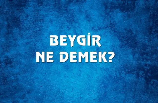 Beygir Ne Demek, Ne Anlama Gelir? Beygir Kelimesi TDK Sözlük Anlamı Nedir?
