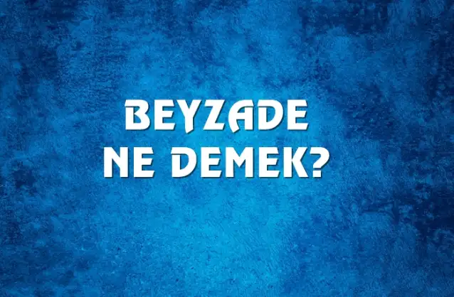 Beyzade Ne Demek, Ne Anlama Gelir? Beyzade Kelimesi TDK Sözlük Anlamı Nedir?