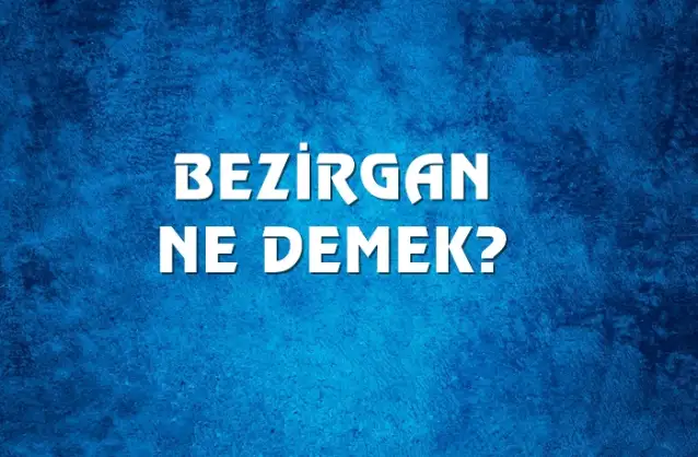Bezirgan Ne Demek, Ne Anlama Gelir? Bezirgan Kelimesi TDK Sözlük Anlamı Nedir?