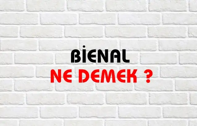 Bienal Ne Demek, Ne Anlama Gelir? Bienal Kelimesi TDK Sözlük Anlamı Nedir?