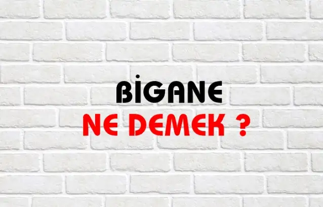 Bigane Ne Demek, Ne Anlama Gelir? Bigane Kelimesi TDK Sözlük Anlamı Nedir?