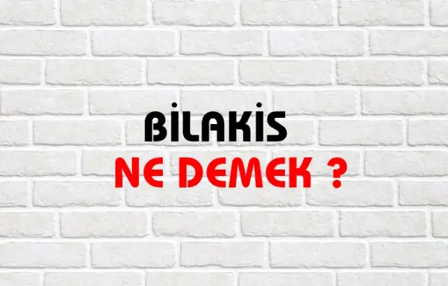 Bilakis Ne Demek, Ne Anlama Gelir? Bilakis Kelimesi TDK Sözlük Anlamı Nedir?