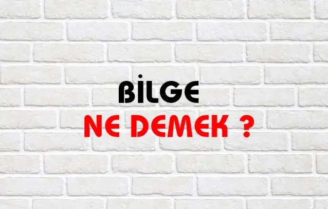 Bilge Ne Demek, Ne Anlama Gelir? Bilge Kelimesi TDK Sözlük Anlamı Nedir?