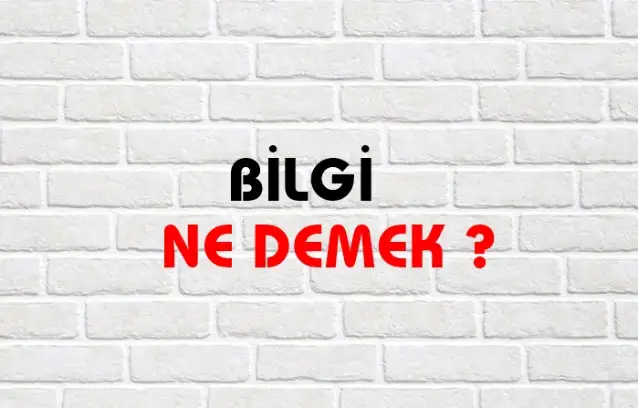 Bilgi Ne Demek, Ne Anlama Gelir? Bilgi Kelimesi TDK Sözlük Anlamı Nedir?